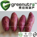 Purple Sweet Potatoes Extract Powder